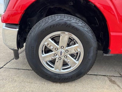 2023 Ford F-150 XL