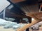 2023 Lexus NX NX 350 Premium