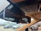 2023 Lexus NX NX 350 Premium