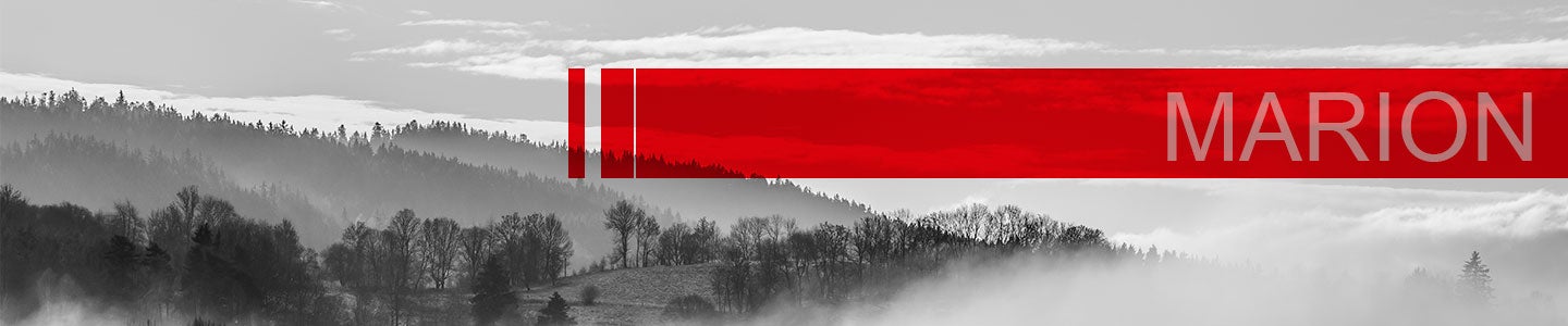 Toyota Dealer Near Marion, IL